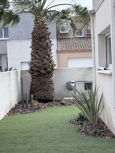 Photo from customer review