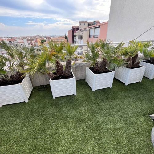 Paysagiste à Sauvian : création et aménagement de votre jardin