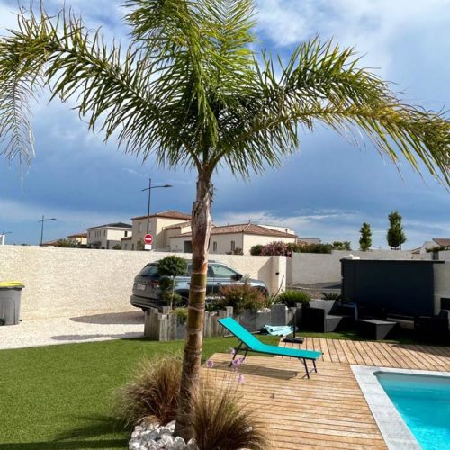 Paysagiste à Sauvian : création et aménagement de votre jardin