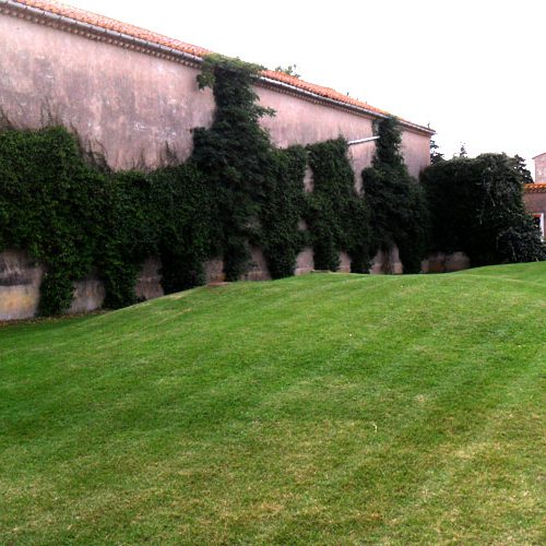 Entretien de jardins et d’espaces verts à Béziers