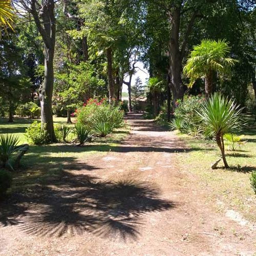 Entretien de jardins et d’espaces verts à Béziers
